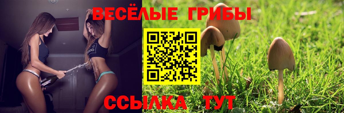 Галлюциногенные грибы Cubensis  Вход с VPN  Псилоцибиновые грибы MAGIC MUSHROOMS  Менделеевск 